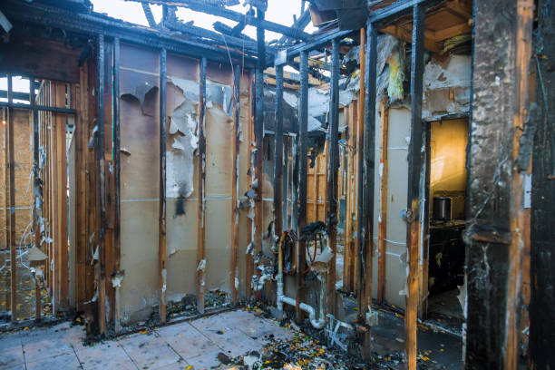 Professional Soot Cleanup technician working in Springfield, IL